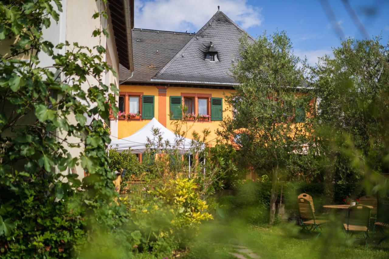 Bio-weingut Staffelter Hof Kröv